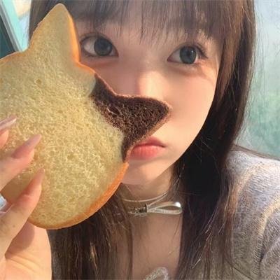 娘娘今日不上朝